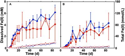 Hydrologic Alteration and Enhanced Microbial Reductive Dissolution of Fe(III) (hydr)oxides Under Flow Conditions in Fe(III)-Rich Rocks: Contribution to Cave-Forming Processes